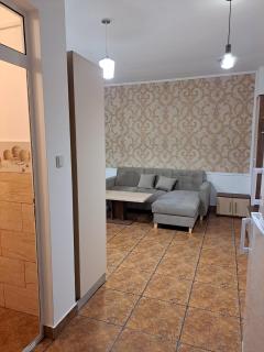Anna City Apartament - Timişoara - 7