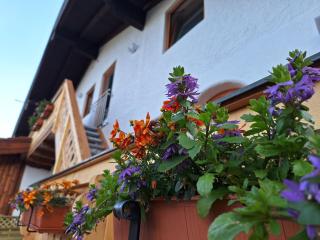 Haus Silbertann - Schönau am Königssee - 8