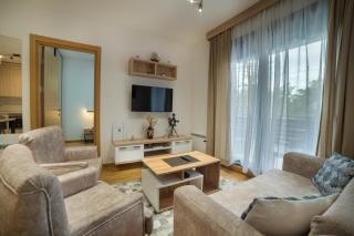 Apartman Raskovic 1 - Balkan Hill 2, Vila Pekovic - Zlatibor - 4