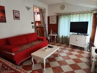 Haus Viktoria near Banja Luka - Banja Luka - 1