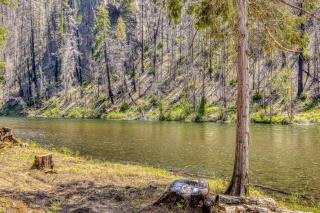 The McKenzie River House - 7
