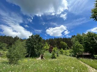 Căsuța din pădure - Piatra Neamţ - 8