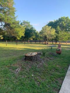 Live Oak Home - 7