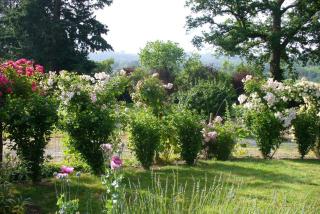 La Maison des Roses - Mareuil-sur-Lay - 6
