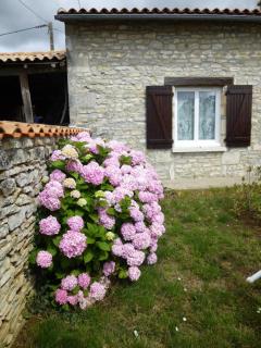 La maison de rolland - Saint-Martin-lʼArs - 3
