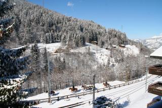 Monami Apartments Klosters, Apt. Solavers No 1 - Klosters - 5