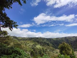 Kintamani Adventures 'Hide in Nature lodge' - Kintamani - 3