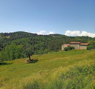 Ecrin de verdure en Ardèche verte - Colombier-le-Vieux - 0
