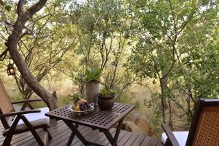 Wild and Free Game Lodge - Mabula - 9