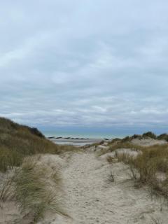 La Manufacture du Sable - Berck-sur-Mer - 9