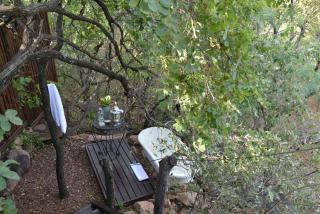 Wild and Free Game Lodge - Mabula - 6