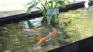 Ecolux Boutique Hotel - Komatipoort - 9