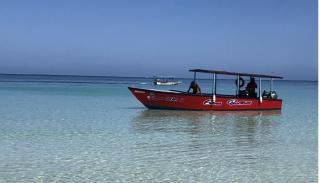 Seacret Studios - Cozy Jamaican Retreat apts - Negril - 8