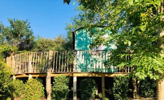 Lapin Cottage - Long Bredy - 6