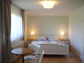 Apartmány U Václava - 7 minut od letiště Václava Havla - parkování zdarma - 5