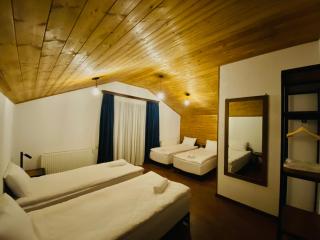 Sno Inn Kazbegi - Kazbegi - 8