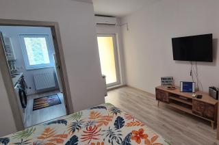 Siriului Studio - 3