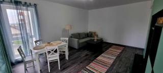 Swan Brasov Apartment - Braşov - 2