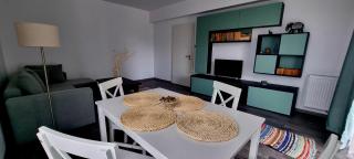 Swan Brasov Apartment - Braşov - 9
