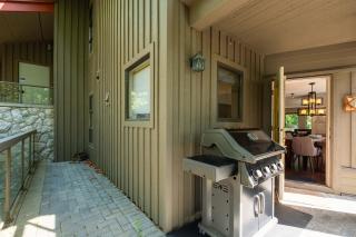 Greyhawk 123 by Outpost Whistler - 3