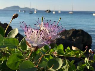 Zaffiro Lavico rooms Etna nature sea - Acireale - 2