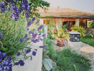 Levendula Vendèghàz - 7