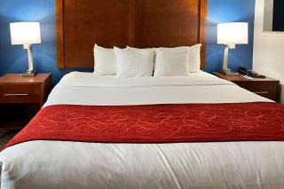 Comfort Suites Louisville East - Douglass Hills - 4