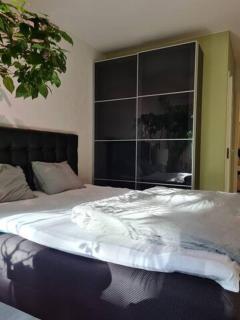 Paradise apartment - 8