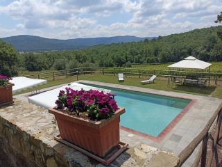 villa I Lecci nel chianti - 1