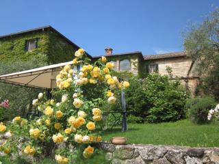 La Locaia - 4