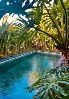 Villa Cocoon - Tropical Comfort with stunning rice field views - Canggu - 5