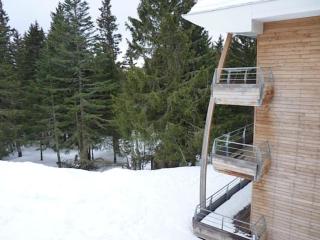 F3 aux pieds des pistes avec très belle vue - Chamrousse - 2