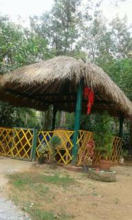 dreams home estate stay 2 - Suntikoppa - 8