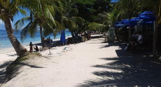 birdwatchers beachfront hotel panglao - 3