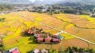 Love hill than Uyên - - 0