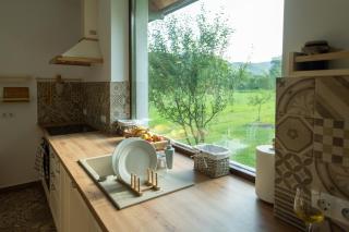 Ciucea185 -Casa din Livadă - 1