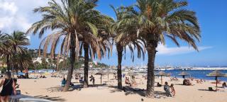 Le Lavandou 6 pers. + parking privé + terrasse (au calme) - Le Lavandou - 8