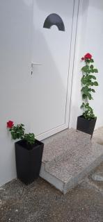 Apartment Kristofor Rab - Kampor - 1