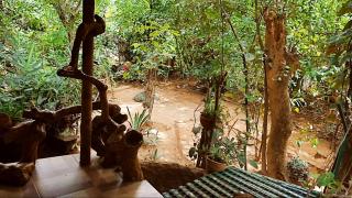 KOOMANKOLLY RESORT - Thirunelli - 8