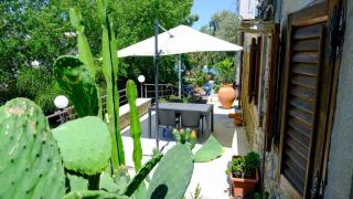 La Casa dei due Ulivi - 8