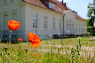 Gutshaus FeWo Warnemünde - Dassow - 0