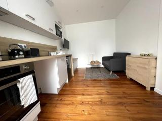 Les Suites Paloises - Appt. 4 : Le Parc Beaumont - Pau - 6