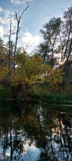 Ośrodek Wypoczynkowy Nad Brdą - Tuchola - 1