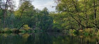 Ośrodek Wypoczynkowy Nad Brdą - Tuchola - 2
