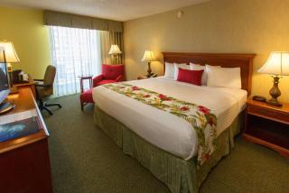 Ramada Plaza by Wyndham Waikiki - Honolulu - 4