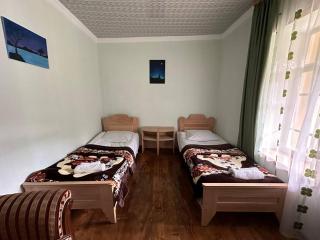 Jachvliani Guest House - Mestia - 5