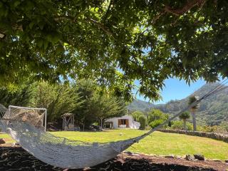 Finca el Roque - Tegueste - 6