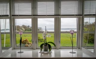 Jungshoved Præstegård B&B - Præstø - 6