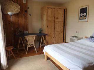 Le Ginkgo - Mont Dauphin - 2