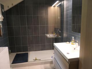 Le Ginkgo - Mont Dauphin - 1